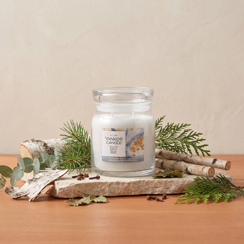 Yankee Candle Silver Birch - Signature 2 Docht Duftkerze - 368g mit Duftzutaten: wässrige Noten, Ozon, sibirische Kiefer, Nelke, Eukalyptus, Zypresse, Birke und Patschuli