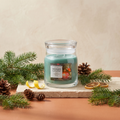 Yankee Candle Tree Trimming - Signature 2 Docht Duftkerze - 368g mit Duftzutaten: Zitrusnoten, Nadeln, Tannenzapfen, Zitronenschale, Balsam, Kiefer und Bourbon