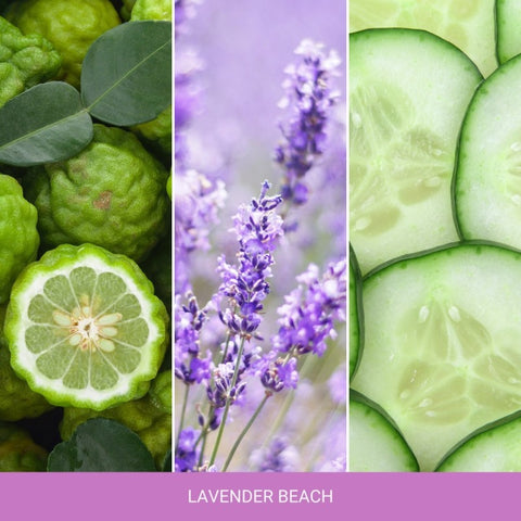 Yankee Candle - Lavender Beach - Duftkerze - 340g