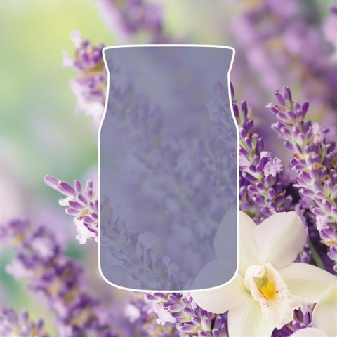 Yankee Candle - Lavender Vanilla - Signature Duftkerze - 110g