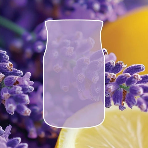 Yankee Candle - Lemon Lavender - Signature Duftkerze - 110g