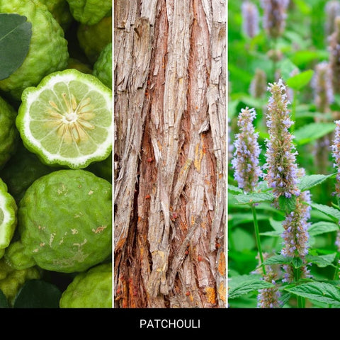 Mr&Mrs Fragrance - Gigi Blue - Patchouli - Autoduft