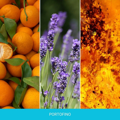 Mr&Mrs Fragrance - Cesare Purple - Portofino - Autoduft