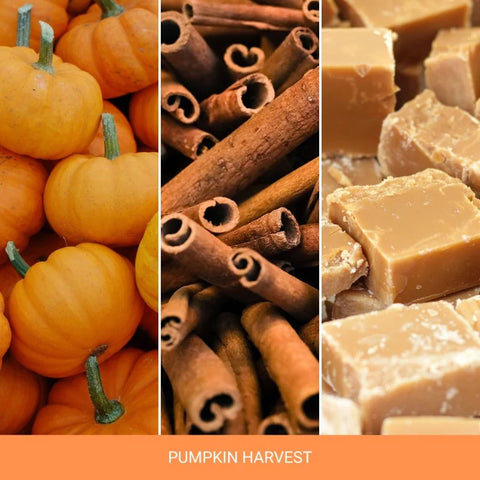 Yankee Candle - Pumpkin Harvest - Duftkerze - 538g