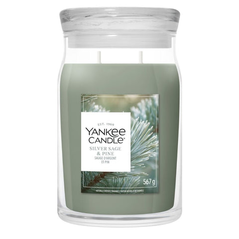 Yankee Candle – Silver Sage & Pine – Signature 2 Docht Duftkerze – 567g – Neues Design