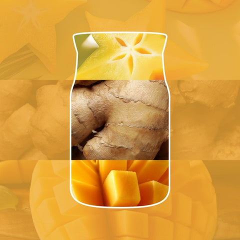 Yankee Candle - Starfruit & Sunshine - Signature 2 Docht Duftkerze - 368g