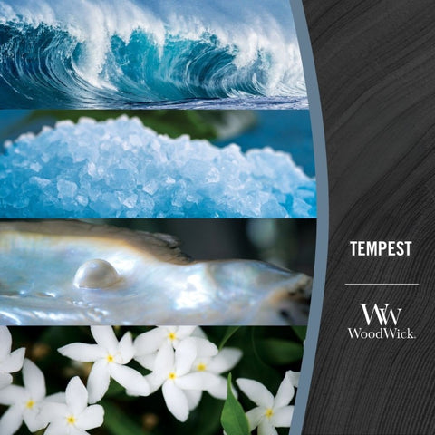 WoodWick - Tempest - Ellipse - 454g