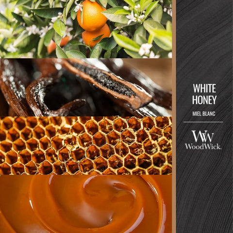 WoodWick - White Honey - Ellipse - 454g