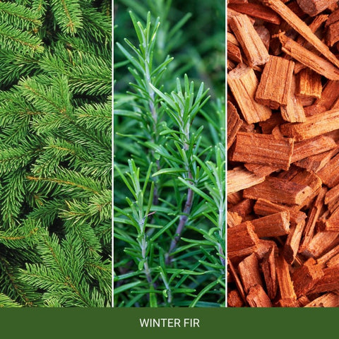 Yankee Candle - Winter Fir - Wax Melt - 75g